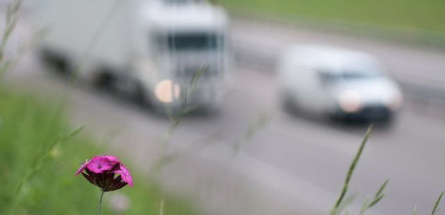 Ontario cancels Drive Clean emissions testing program